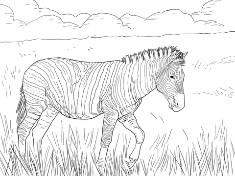 Burchell'S Plain Zebra Coloring Page